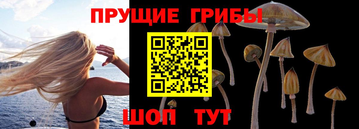 Псилоцибиновые грибы Magic Shrooms Ноябрьск