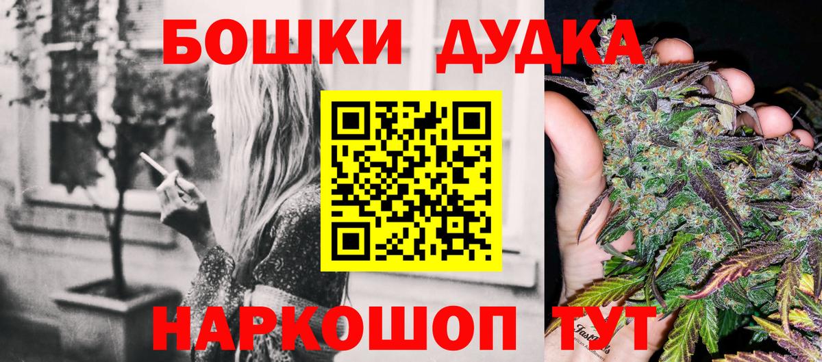 Конопля сатива Ноябрьск